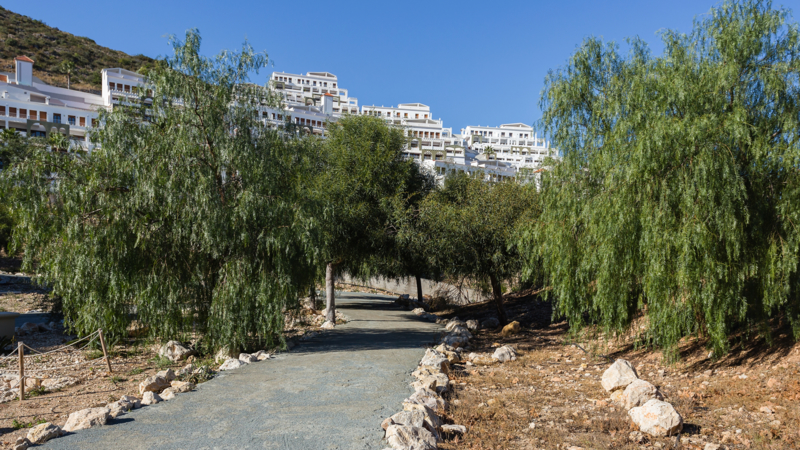 070122-apart_xeresa_del_monte7263.JPG 